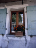 Buy Potted Flowers in a Window with Lace Curtains at AllPosters.com