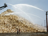 Buy Men Spray Water on Pulpwood to Guard Against Fire During Drought at AllPosters.com