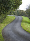 Winding Country Road into the National Trust's Crom Estate