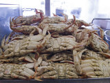 Cooked Dungeness Crab at Fisherman's Wharf