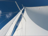 Buy Sails Rise Up into a Blue Sky at AllPosters.com