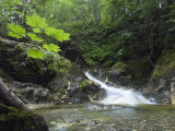Cascade Falls on Fox Creek on Chichagof Island