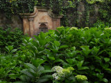 Garden of the Santo Domingo Convent