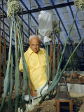 Buy Scientist in a Greenhouse Works on Crossbreeding Onions at AllPosters.com