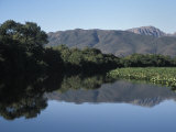 Buy Along One of Many Waterways in the Pantanal of Western Brazil at AllPosters.com