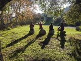 Four Hikers Resting on a Rocks under an Oak Tree with Long Shadows