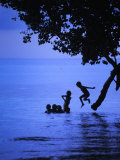 Children Playing, Jumping from a Tree into Water
