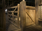 Late Afternoon Sun Falls on a Corral Door in an Antique Shearing Shed