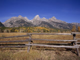 Buy Jagged Mountains and Autumn Landscape at Grand Teton National Park at AllPosters.com