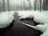 Moose Creek Flows into the Snake River