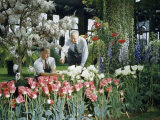 Buy Gardeners Consult About Tulips Blooming in Conservatory at AllPosters.com