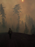 Buy Firefighter Walking Up a Hill in the Smoke of a Forest Fire at AllPosters.com
