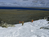 Buy Scientists Have a Snowball Fight on an Outer Flank of a Crater Lake at AllPosters.com