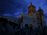 Agave Plants and the Church of Santo Domingo at Night