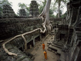 Buddhist Monks Near Large Strangler Fig at the Ta Phrom Temple