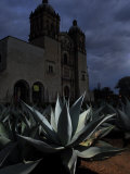 Buy Agave Plant and the Church of Santo Domingo at Night at AllPosters.com