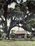 Two Men Stand on the Lawn of What Was Once a Sugar Plantation