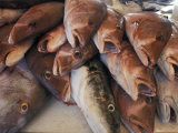 Buy Morning Fish Market in Fortaleza in Northeastern Brazil at AllPosters.com