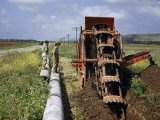 Buy Workers Stand on Pipes Beside Trench-Digging Machinery at AllPosters.com