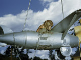 Monkey Rides in a Model Airplane