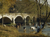 Buy Boy Fishes in a River Near Wading Cows and Old Stone Bridge at AllPosters.com