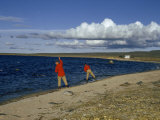 Buy Scientists Cast for Fish on Shore of Museum Lake at AllPosters.com