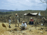Buy Archeologists Survey an Excavation of a Prehistoric Burial at AllPosters.com