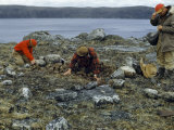 Buy Scientists Inspect Old Native American Campsite Near Crater Lake at AllPosters.com