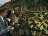 Buy Botany Students Inspect Potted Coleus Plants and Write Notes at AllPosters.com
