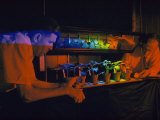 Buy Scientists Study the Effects of Light on Plant Life Cycles at AllPosters.com