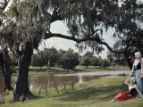 Buy Two Women Rest Beneath a Tree, Beside the Bayou Teche Waters at AllPosters.com