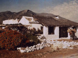 Buy Roadside Inn with a Substantial Flower Garden at AllPosters.com
