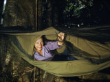 Buy Woman Closes a Mosquito Net on a Hammock at AllPosters.com