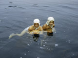 Buy Divers for Seaweed Poise for a Surface Dive at AllPosters.com