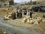 Buy Shepherds and their Flocks Gather by a Stream on Amman's Outskirts at AllPosters.com