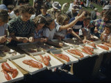 Buy Children Compete in a Picking Contest at Rockland's Lobster Festival at AllPosters.com