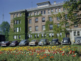 Buy Cars are Parked in a Row Outside One Building of a Research Agency at AllPosters.com