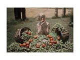 Buy Girl Eating a Tomato, Sits Among the Vegetables from a Garden at AllPosters.com