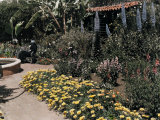 Buy Famous Garden Located in San Diego at AllPosters.com
