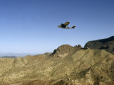 Buy Amphibious Catalina Airplane Framed by Blue Sky Soars over Desert at AllPosters.com