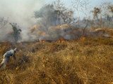 Buy Archeological Assistant Uses Fire to Clear an Excavation Site at AllPosters.com