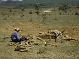 Buy Archeologist Enters Burial Chamber as His Wife Cleans Pottery at AllPosters.com