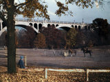 Buy Woman Sits Watching Horses in Rock Creek Park at AllPosters.com