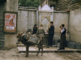 Buy Water Sellers Fill Five-Gallon Water Tins at Public Fountain at AllPosters.com