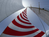 Buy Looking Up into the Sails of a Sailboat at AllPosters.com