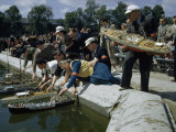 Buy People Launch Model Boats in a Pool in the Tuileries Gardens at AllPosters.com