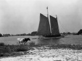 Buy View of a Sailboat Crossing Through the Harbor of Solomons Island at AllPosters.com