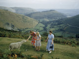 Buy Women Pet Shy Sheep on Hillside Overlooking Green Valley at AllPosters.com