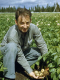 Buy Artist-Turned-Farmer Crouching in Field Holds Potatoes in His Hand at AllPosters.com