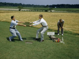 Buy Men Pull on Turf of Combined Grasses to Show its Strength at AllPosters.com